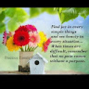 Meet your Posher, Alisa